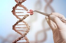 CRISPR vs Cholesterol: Are Lifelong Statins on Borrowed Time?